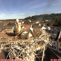 09_25-nest.jpg
