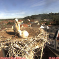 09_30-nest.jpg