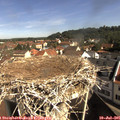 09_50-nest.jpg