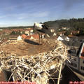 09_55-nest.jpg