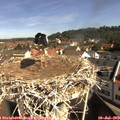 10_00-nest.jpg