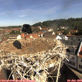 10_05-nest.jpg