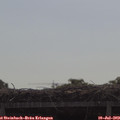 10_10-mast.jpg