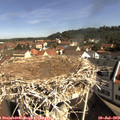10_10-nest.jpg