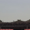 10_15-mast.jpg