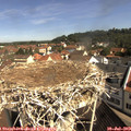 10_15-nest.jpg