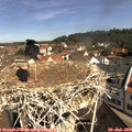 10_25-nest.jpg