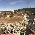 10_30-nest.jpg