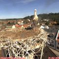 10_40-nest.jpg