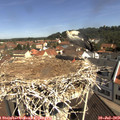 10_45-nest.jpg