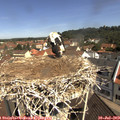 10_50-nest.jpg