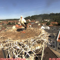 10_55-nest.jpg
