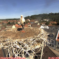 11_00-nest.jpg