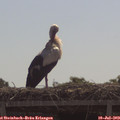 11_05-mast.jpg