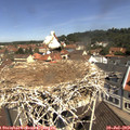 11_15-nest.jpg