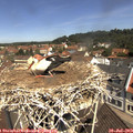 11_20-nest.jpg