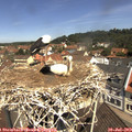 11_25-nest.jpg