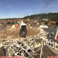 11_40-nest.jpg