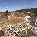 11_45-nest.jpg