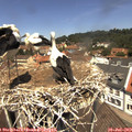 12_25-nest.jpg