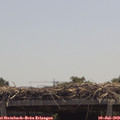 12_35-mast.jpg
