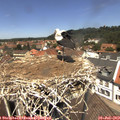 12_40-nest.jpg
