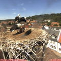 14_00-nest.jpg