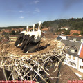 14_05-nest.jpg