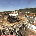 14_15-nest.jpg