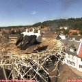 14_25-nest.jpg