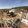 14_40-nest.jpg