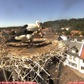 14_55-nest.jpg
