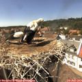 15_05-nest.jpg