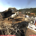 16_40-nest.jpg