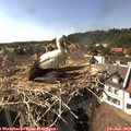 16_45-nest.jpg