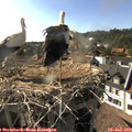17_35-nest.jpg