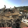 17_45-nest.jpg