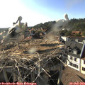 18_15-nest.jpg