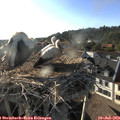 18_45-nest.jpg