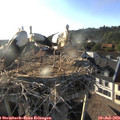 18_50-nest.jpg