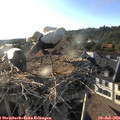 18_55-nest.jpg