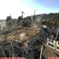 19_00-nest.jpg