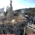 19_10-nest.jpg