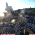 20_20-nest.jpg