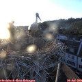 20_35-nest.jpg