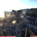 20_40-nest.jpg
