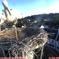 06_30-nest.jpg