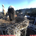 06_40-nest.jpg