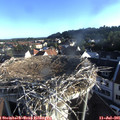 07_05-nest.jpg