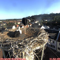 07_25-nest.jpg